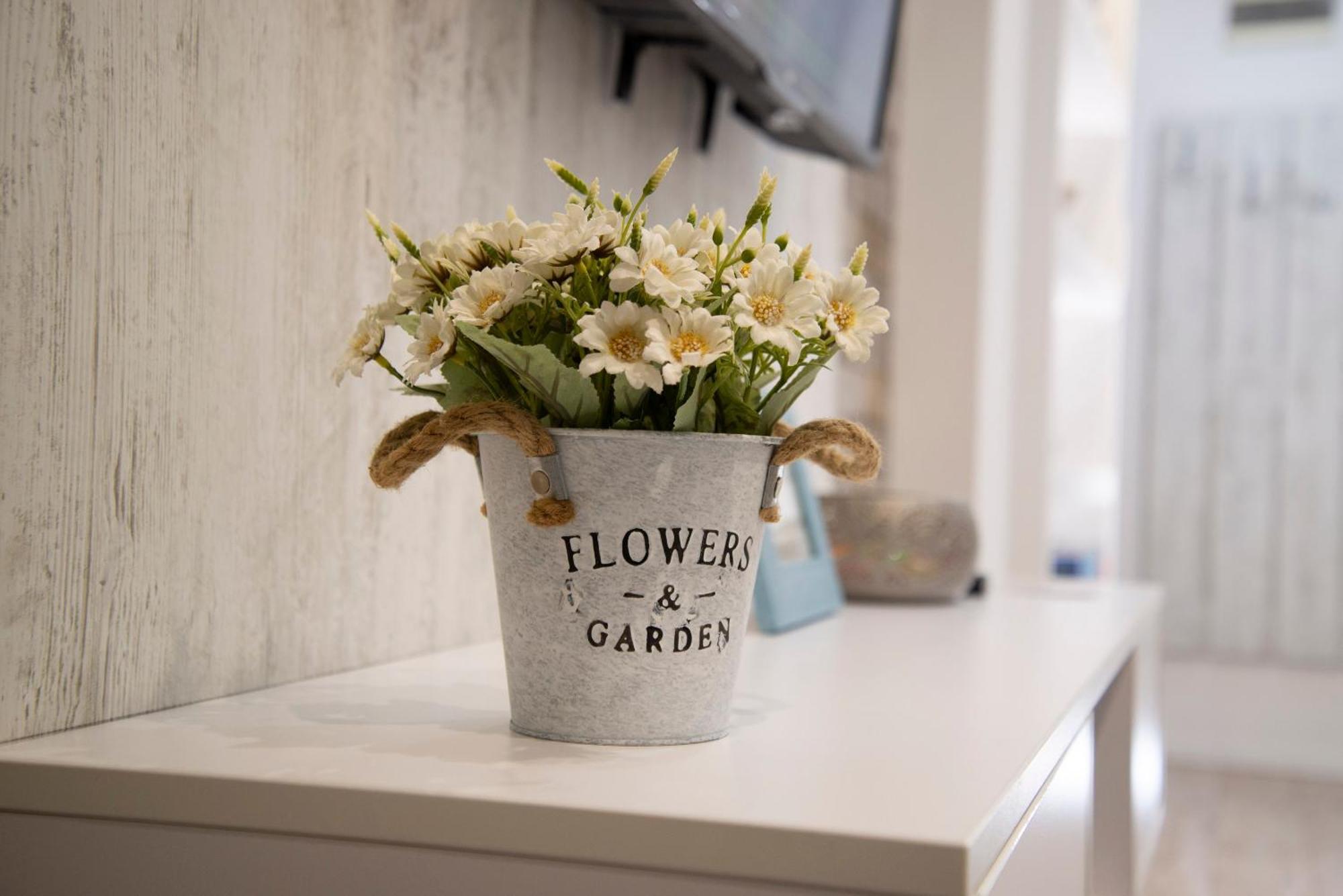 Apartament Apartman Gaga Nowy Sad Zewnętrze zdjęcie